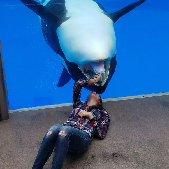 Meet your Posher, Lizzi - Picture 1 of 1